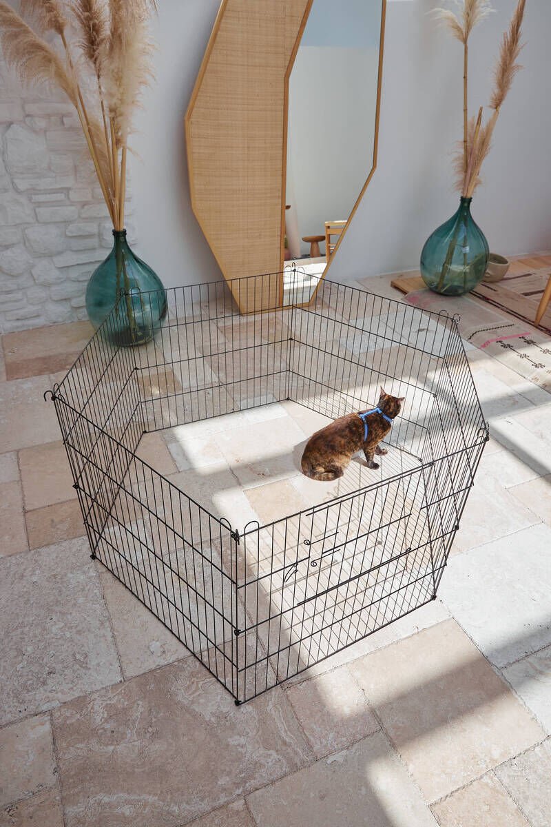 PETPRETTY KÖPEK ÇITI ORTA BOY 60-54