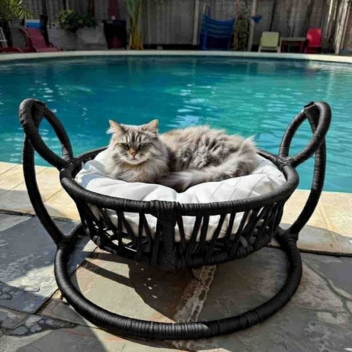 Pativita Sepet Salıncak El Örgüsü Kedi Hamağı