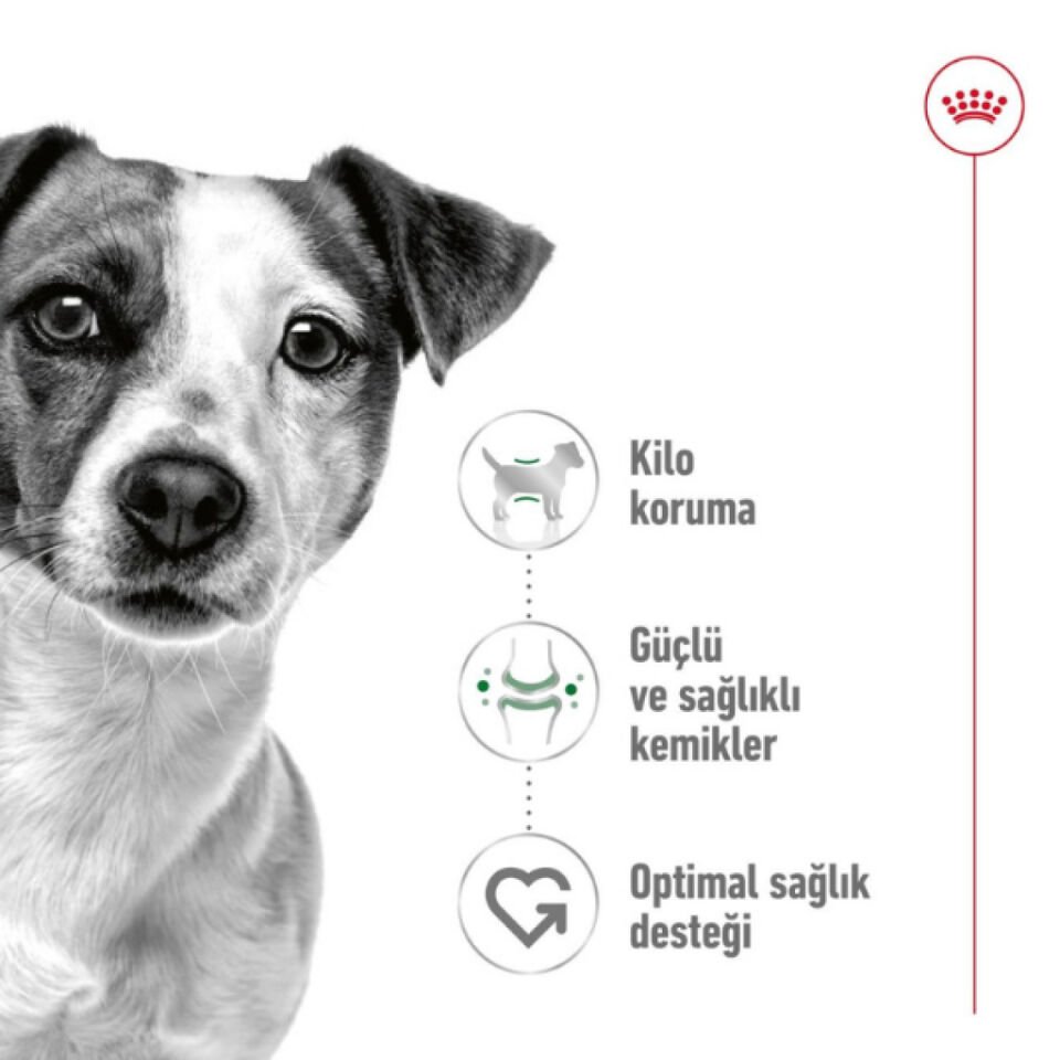 ROYAL CANIN MINI ADULT YETISKIN KÖPEK MAMASI 2 KG