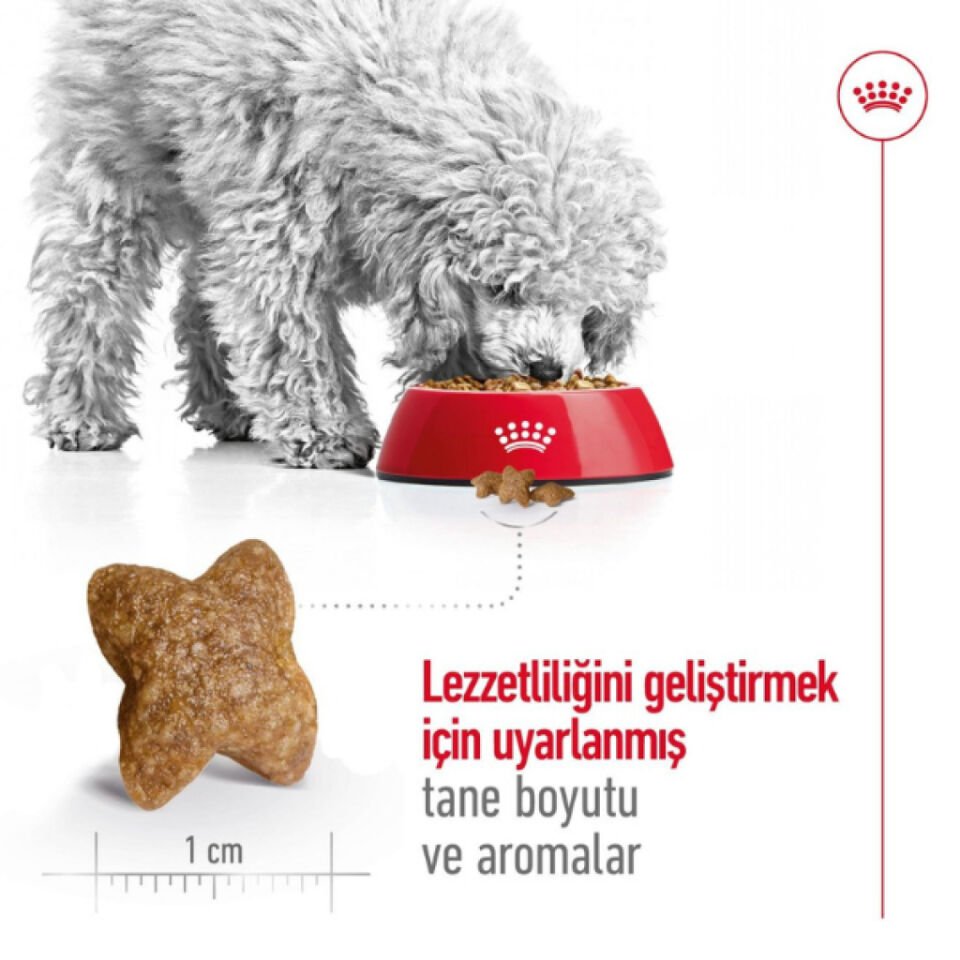 ROYAL CANIN MINI ADULT YETISKIN KÖPEK MAMASI 2 KG