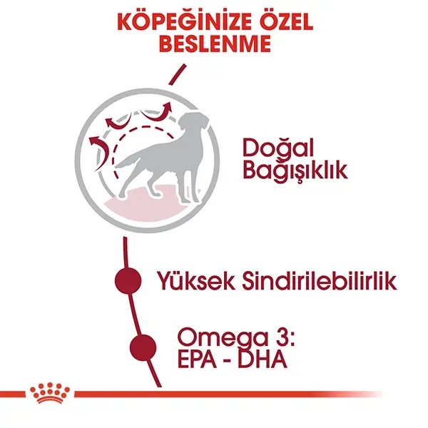 ROYAL CANIN MEDIUM ADULT KÖPEK MAMASI 15 KG