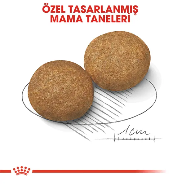 ROYAL CANIN MEDIUM ADULT KÖPEK MAMASI 15 KG