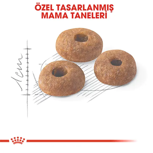 ROYAL CANIN FIT 32 KURU KEDI MAMASI 4 KG