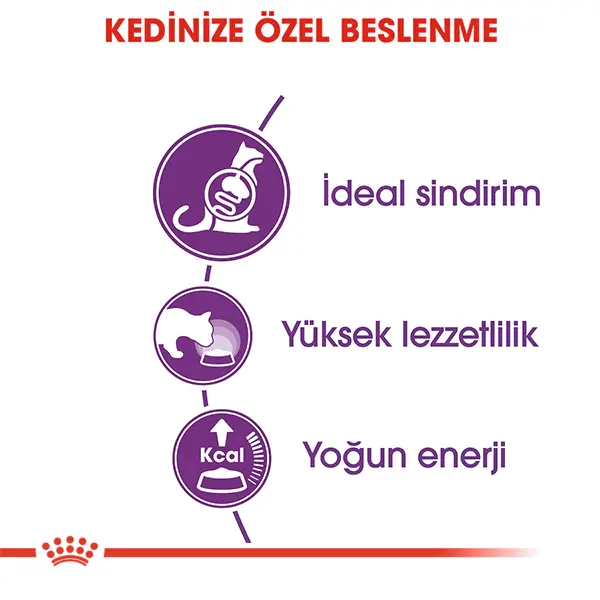ROYAL CANIN SENSIBLE 33 HASSAS SİNDİRİM KURU KEDI MAMASI 15 KG