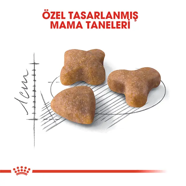 ROYAL CANIN SENSIBLE 33 HASSAS SİNDİRİM KURU KEDI MAMASI 15 KG
