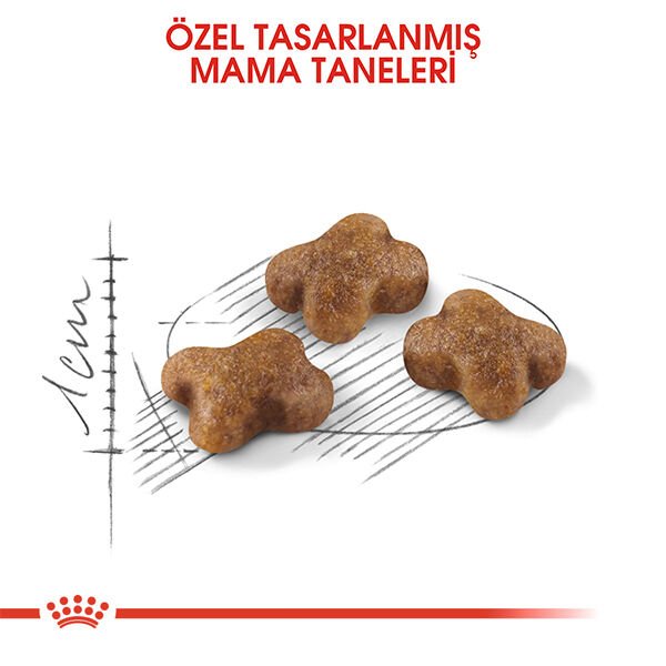 ROYAL CANIN KITTEN YAVRU KEDI MAMASI 4 KG