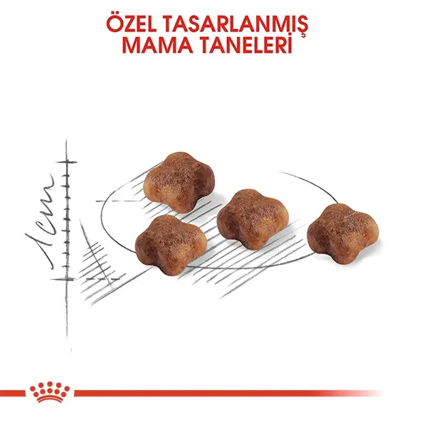 ROYAL CANIN MOTHER AND BABYCAT 34 YAVRU KURU KEDI MAMASI 2 KG