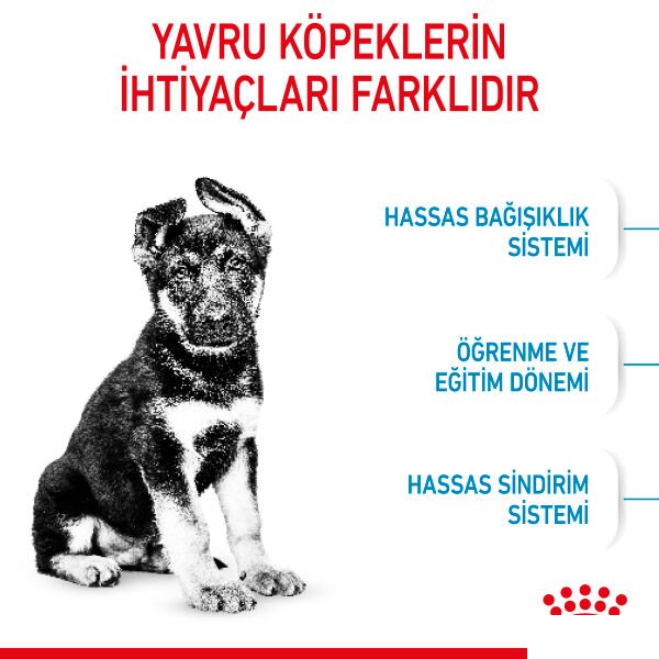 ROYAL CANIN MAXI PUPPY BÜYÜK IRK YAVRU KÖPEK MAMASI 15 KG