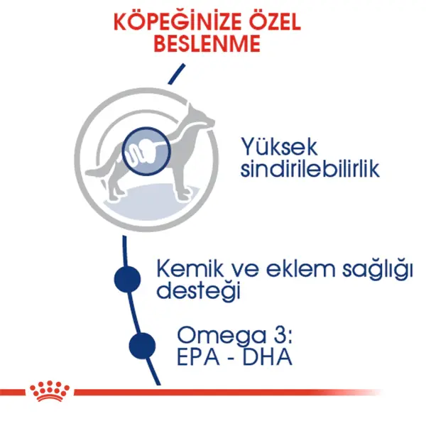 ROYAL CANIN MAXI ADULT KÖPEK MAMASI 15 KG