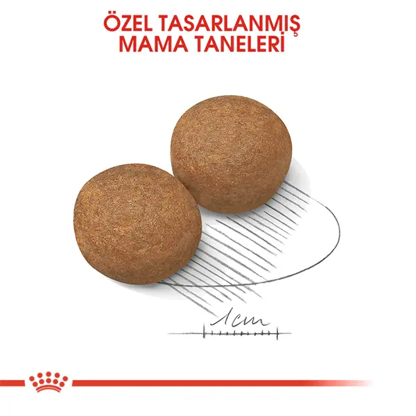 ROYAL CANIN MAXI ADULT KÖPEK MAMASI 15 KG