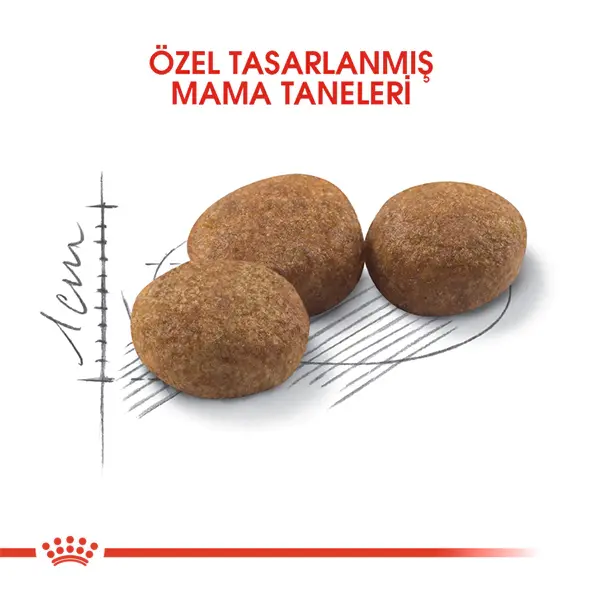 ROYAL CANIN STERILISED 37 KISIRLASTIRILMIS KEDI MAMASI 2 KG