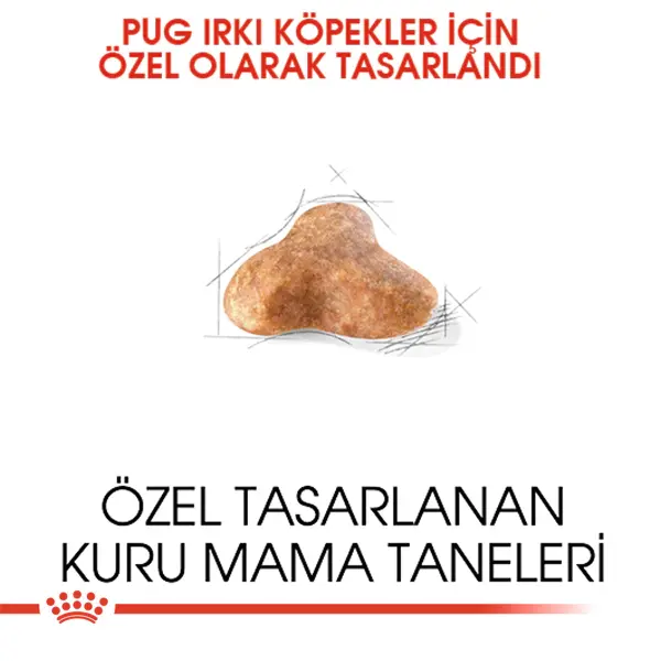 ROYAL CANIN PUG 25 PUG YETISKIN KÖPEK MAMASI 1,5 KG