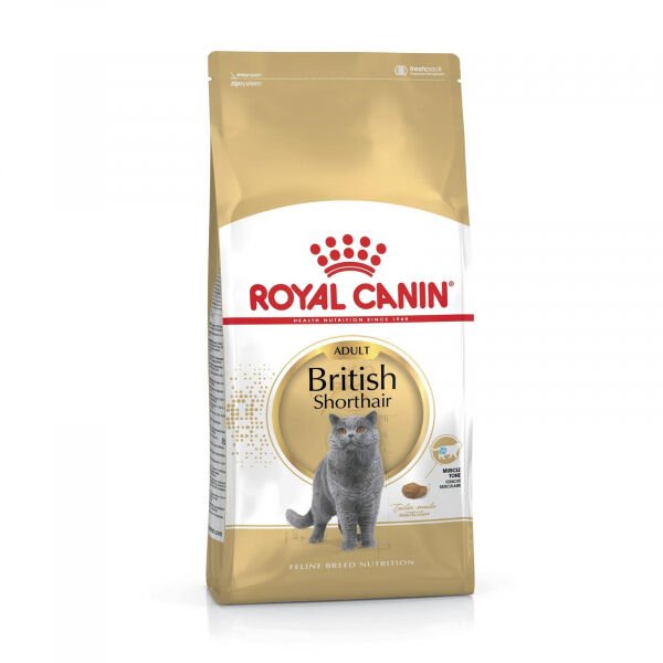 ROYAL CANIN BRITISH SHORTHAIR YETISKIN KEDI MAMASI 2 KG