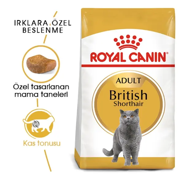 ROYAL CANIN BRITISH SHORTHAIR YETISKIN KEDI MAMASI 2 KG