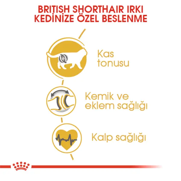 ROYAL CANIN BRITISH SHORTHAIR YETISKIN KEDI MAMASI 2 KG