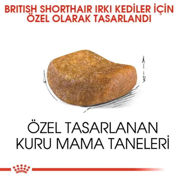 ROYAL CANIN BRITISH SHORTHAIR YETISKIN KEDI MAMASI 2 KG