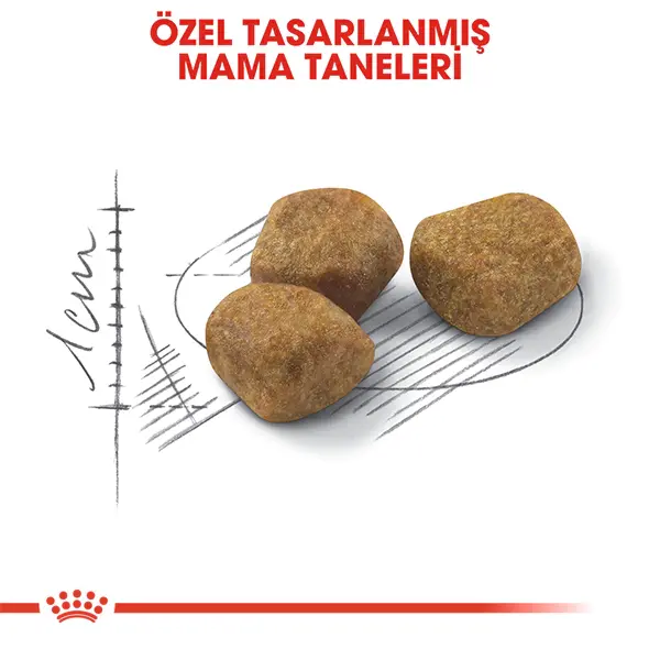 ROYAL CANIN INDOOR +7 YASLI KURU KEDI MAMASI 1.5 KG