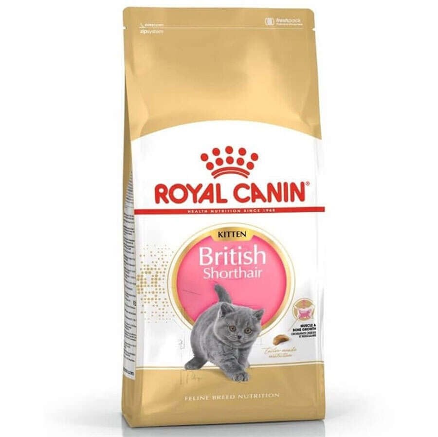 ROYAL CANIN KITTEN BRITISH SHORTHAIR YAVRU KEDI MAMASI 2 KG