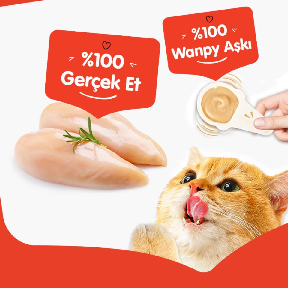 Wanpy Tavuklu Kaşık Krema Kedi Ödül Maması 10x16gr