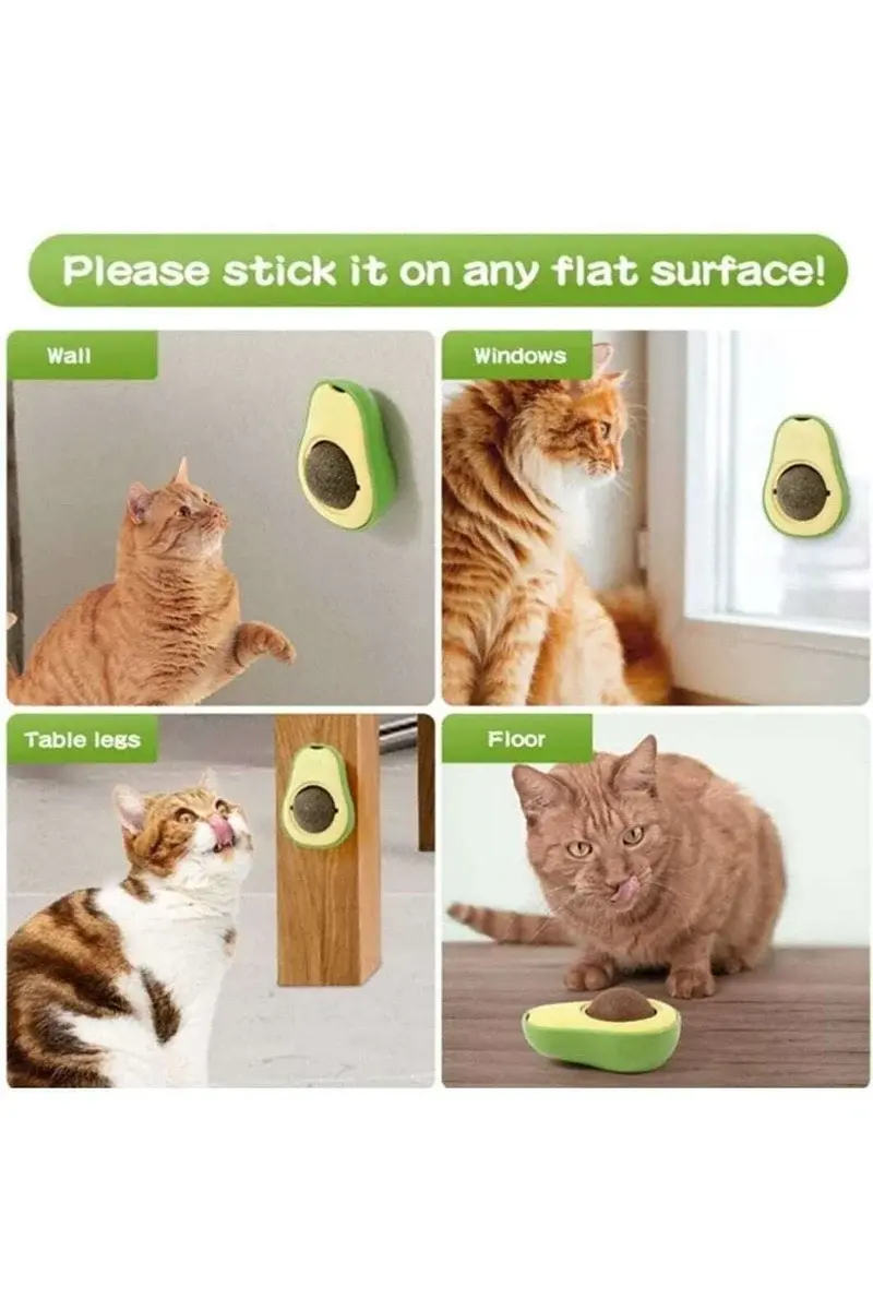 PATİVİTA Avokado Doğal Catnipli Yenilebilir Kedi Nanesi Otu Oyun Topu Oyuncağı Kedi Yalama Topu