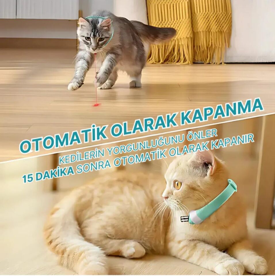 MADPET Evcil Hayvan Lazerli Boyun Tasması
