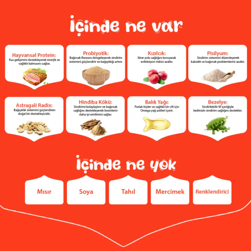 WANPY TAHILSIZ SOMON&TUNA KISIRLAŞTIRILMIŞ KEDİ MAMASI 8KG