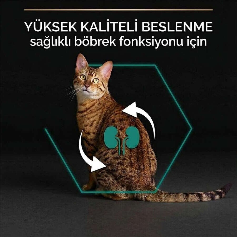 PROPLAN STERILISED SOMONLU KISIRLASTIRILMIS KEDI MAMASI 1.5 KG (3X85GR POUCH) HEDIYELI!
