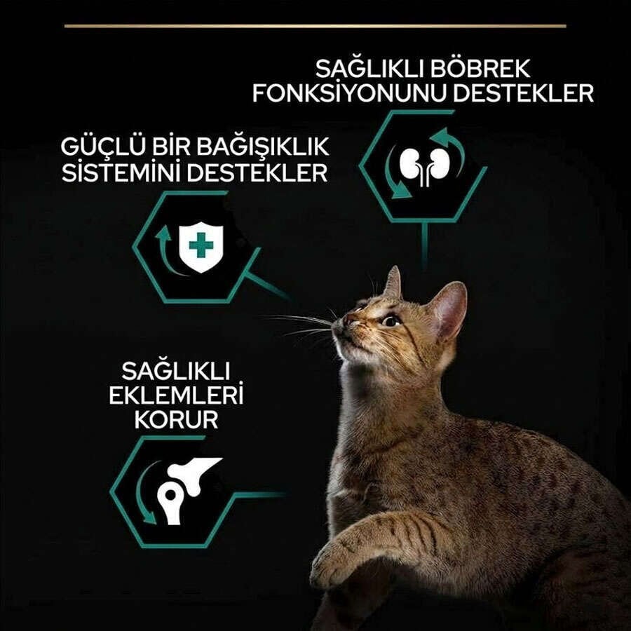PROPLAN STERILISED SOMONLU KISIRLASTIRILMIS KEDI MAMASI 1.5 KG (3X85GR POUCH) HEDIYELI!