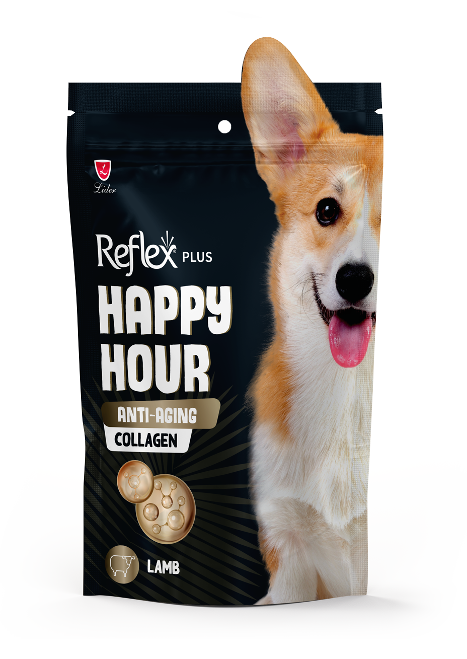 REFLEX HAPPY HOUR DOG ANTI-AGING COLLEGEN 60G10