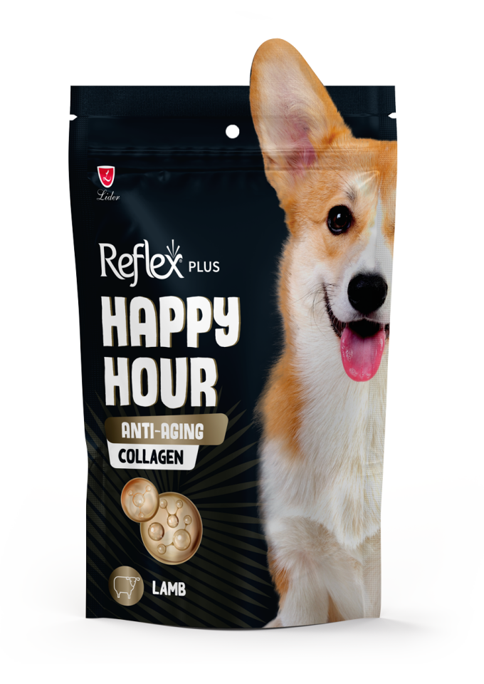 REFLEX HAPPY HOUR DOG ANTI-AGING COLLEGEN 60G10