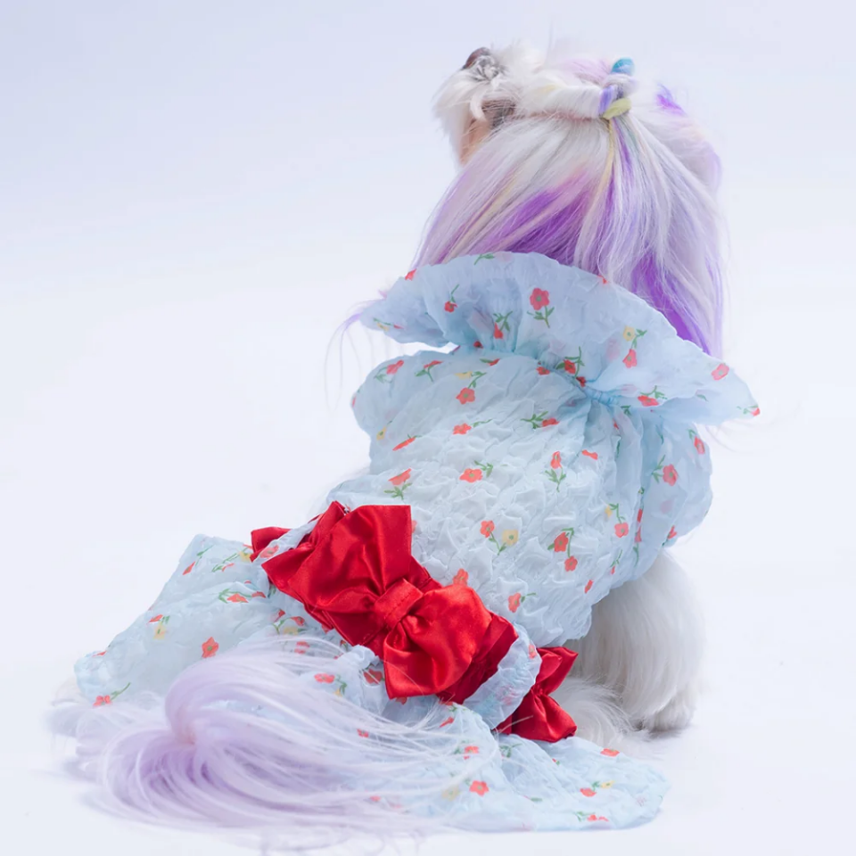 PAWSTAR BLUE VALENCİA ELBİSE M