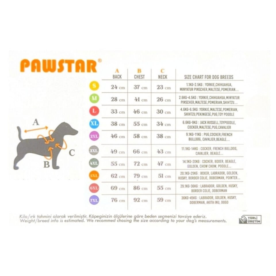 PAWSTAR BLUE VALENCİA ELBİSE XXL