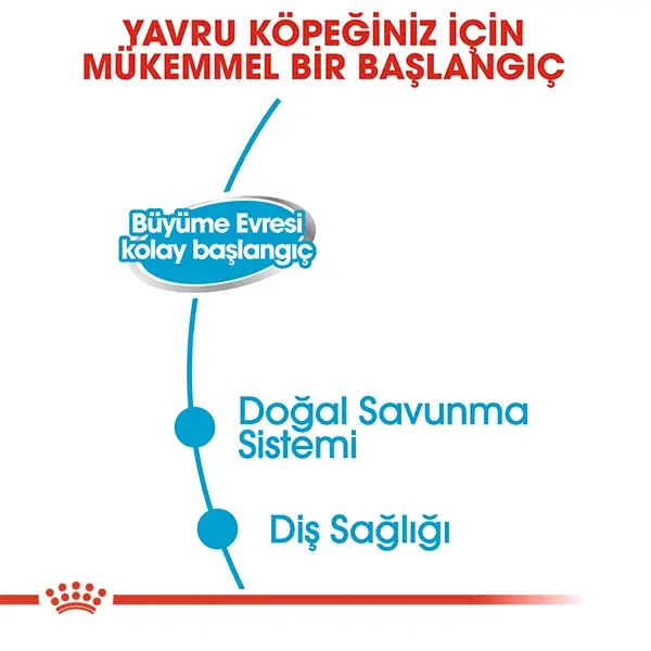ROYAL CANIN STARTER MOUSSE YAVRU KÖPEK YAŞ MAMA KONSERVE 195 GR